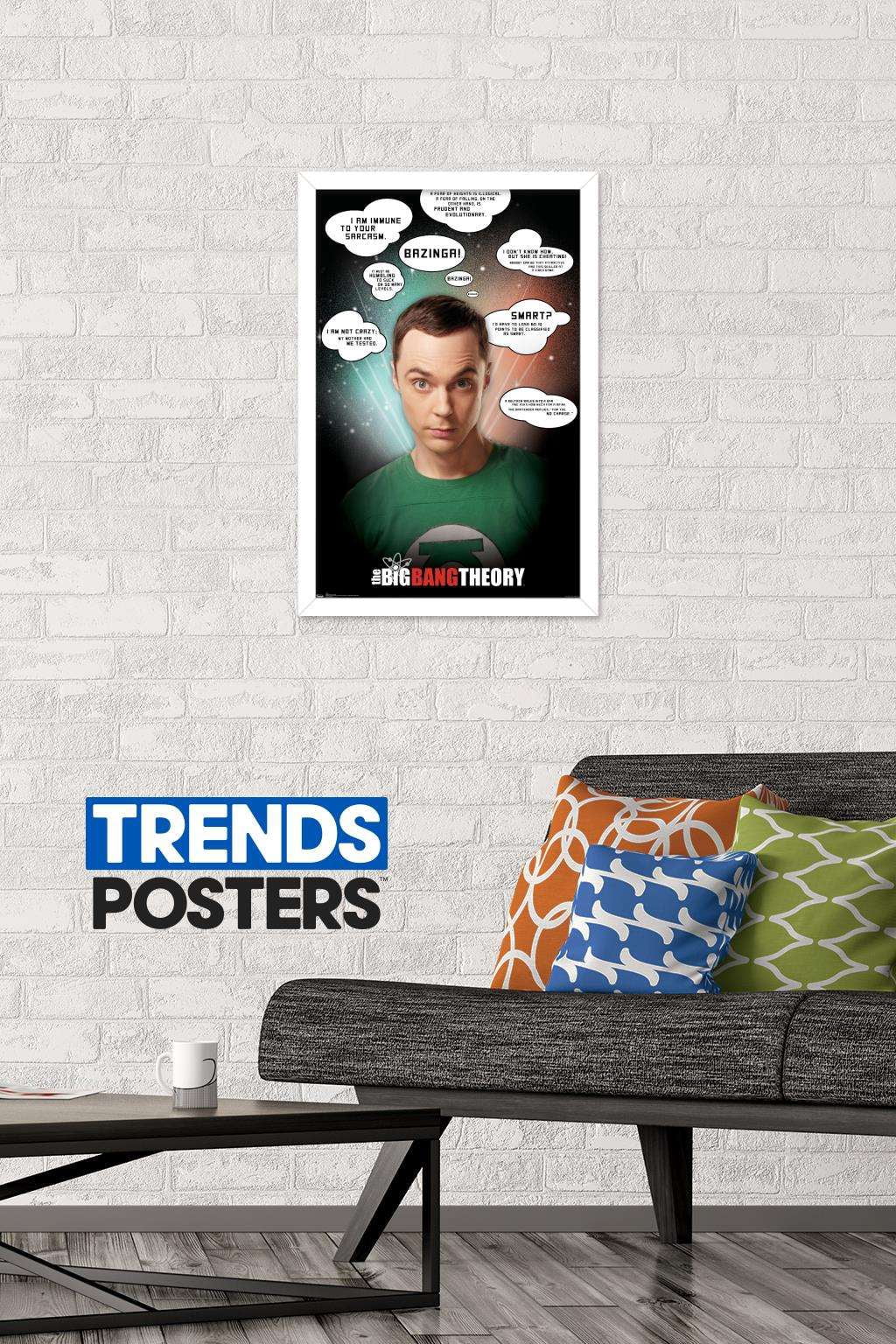 The Big Bang Theory - Quotes Wall Poster, 14.725" x 22.375", Framed