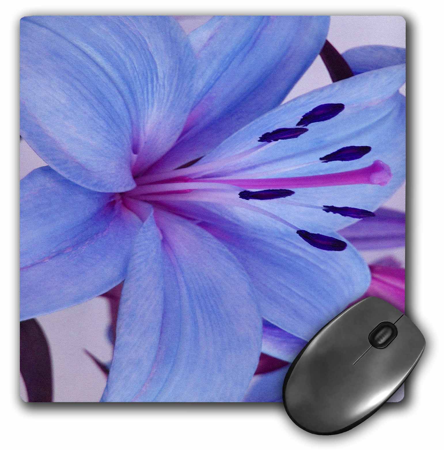 3dRose Delicate Blue Oriental Lily, Mouse Pad, 8 by 8 inches - image 1 of 1