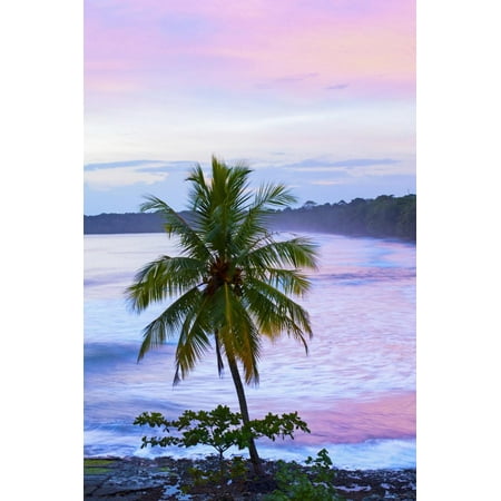 Costa Rica, Cahuita, Cahuita National Park, Lowland Tropical Rainforest, Caribbean Coast, Dawn Print Wall Art By John