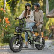Electric Bike for Adults 48V 750W Motor 26in E-Bicycle
