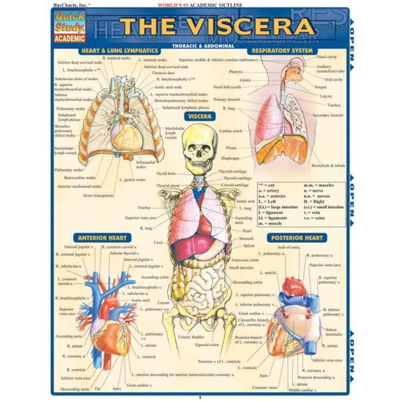 Pre-Owned Viscera (Other)