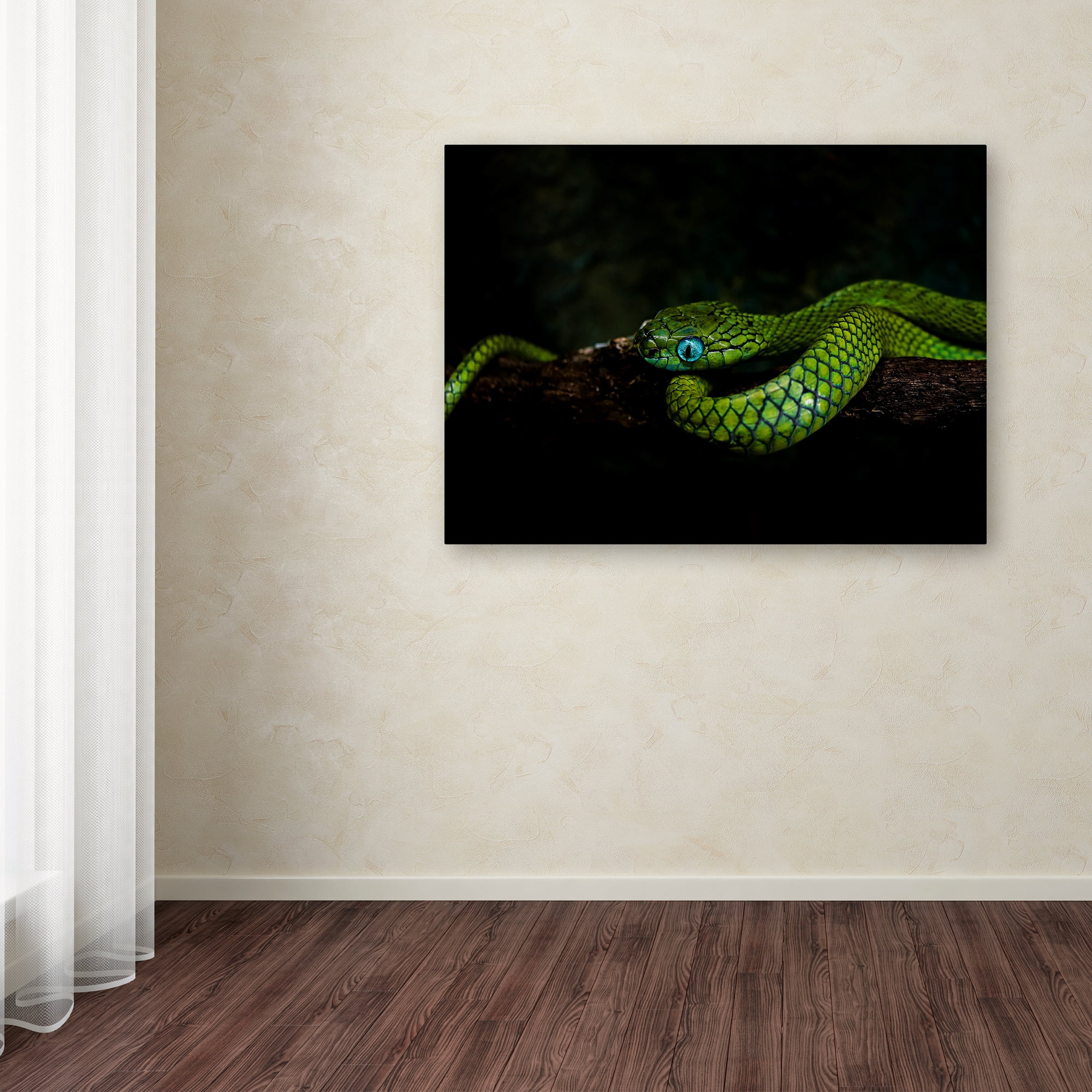 Trademark Fine Art 'Meandering' Canvas Art by Ferdinando valverde
