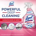 thumbnail image 2 of Lysol Bathroom Cleaning- Bathroom Cleaner Spray,Multi-surface cleaner trigger, Bathroom Foam, Summer Fresh, Powers Through Soap Scum, 950 mL, 2 of 4