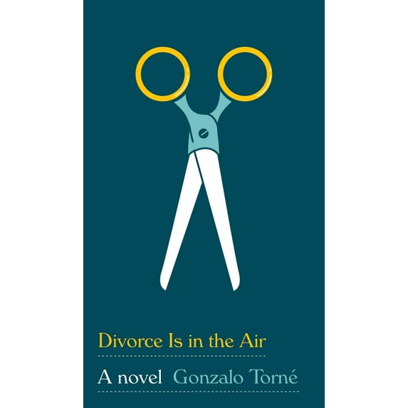 Divorce Is in the Air : A novel