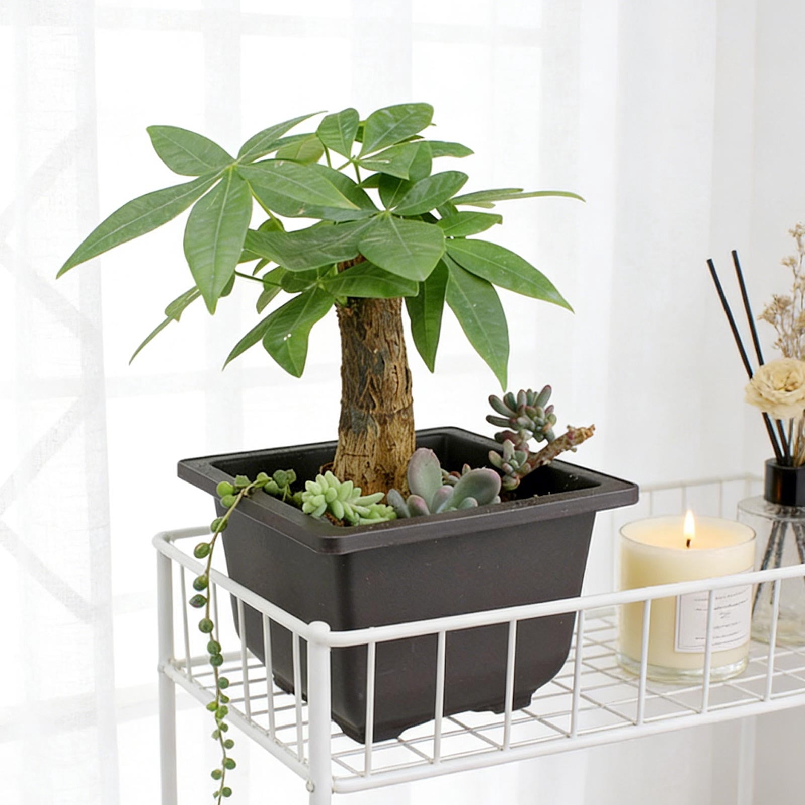 Set of Plastic Flower Pots, Modern Minimalist Planters for Home Gardening and Balcony s, Lightweight Indoor and Outdoor Plant Pots with Drainage, Versatile Decor