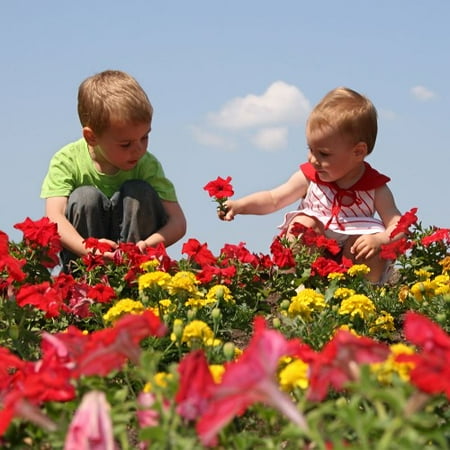 Kids Flower Garden Pre Seeded Mat Walmart Com