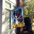 thumbnail image 2 of Carolines Treasures SC9071CHF Border Collie Drapeau Toile Maison Taille, 2 of 4