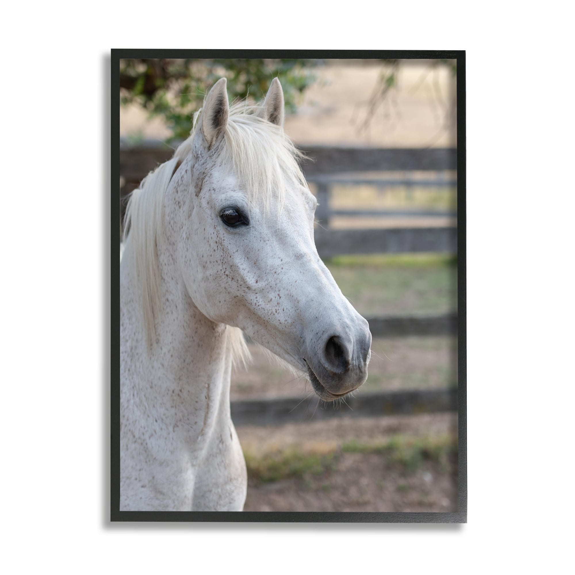Stupell Industries Elegant White Spotted Horse Rural Country Farm Photograph Gray Framed Art Print Wall Art, Design by Daphne Polselli