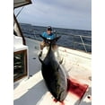 thumbnail image 2 of Big Game Line Fluorocarbon Leader, 2 of 3