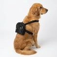 thumbnail image 2 of Arnes con mochila y correa Infanti Pets para mascota grande, 2 of 5