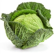 Savoy Cabbage Repollo