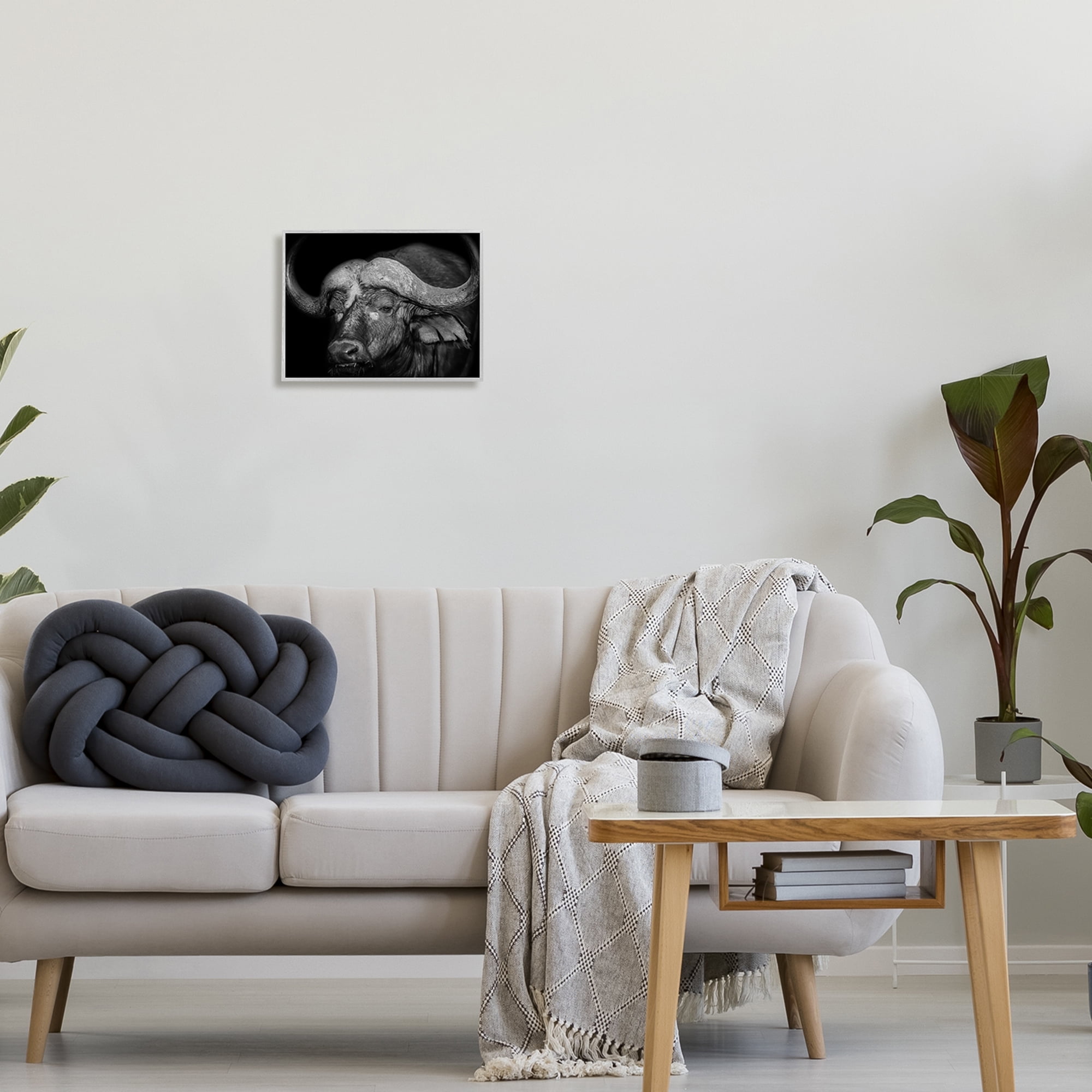 Stupell Industries Dark Buffalo Photography Animals & Insects Photography Gray Framed Art Print Wall Art, 14 x 11
