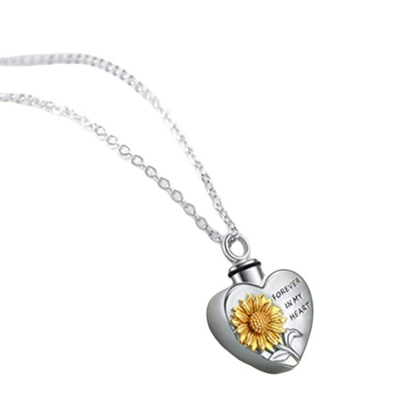 Heart Necklace Ashes Vessel Ashes Necklace for Pet Urn Carry Along Necklace Memorial Locket Urn Container
