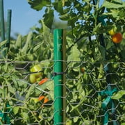 Expert Gardener Powder Coated Steel Fence U Post, Green, 4