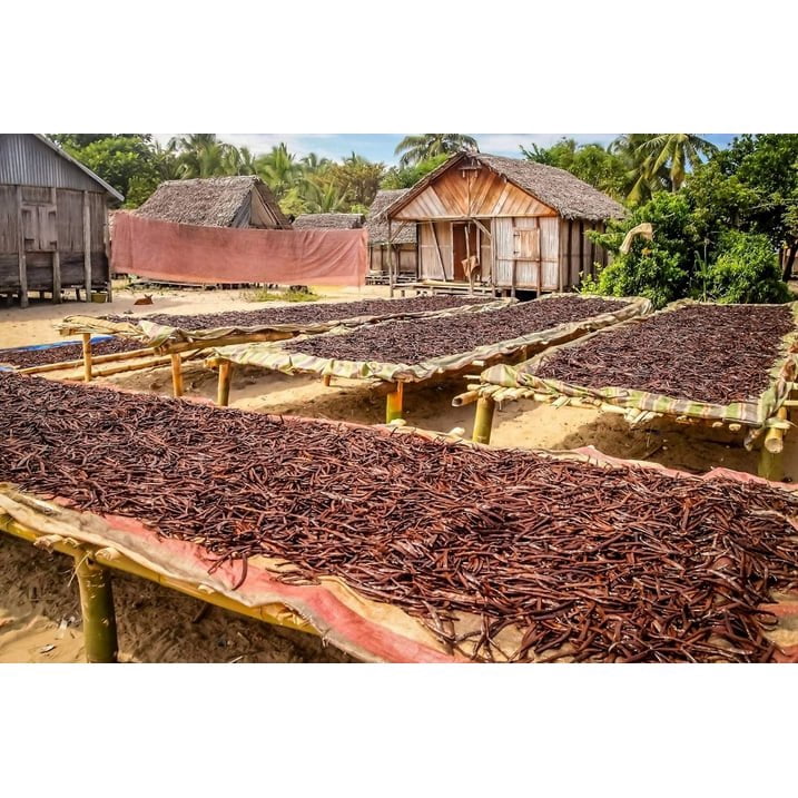 Organic Vanilla Extract - Made with Madagascar Vanilla Beans – For Baking, Desserts, Home Cooking and Chefs - 10 GALLONS