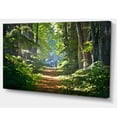 thumbnail image 2 of Bright Green Forest in Morning, 2 of 3