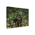 thumbnail image 2 of Trademark Fine Art 'Mama in the Garden' Canvas Art by Jan Benz, 2 of 3