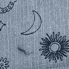Embroidered Western Denim