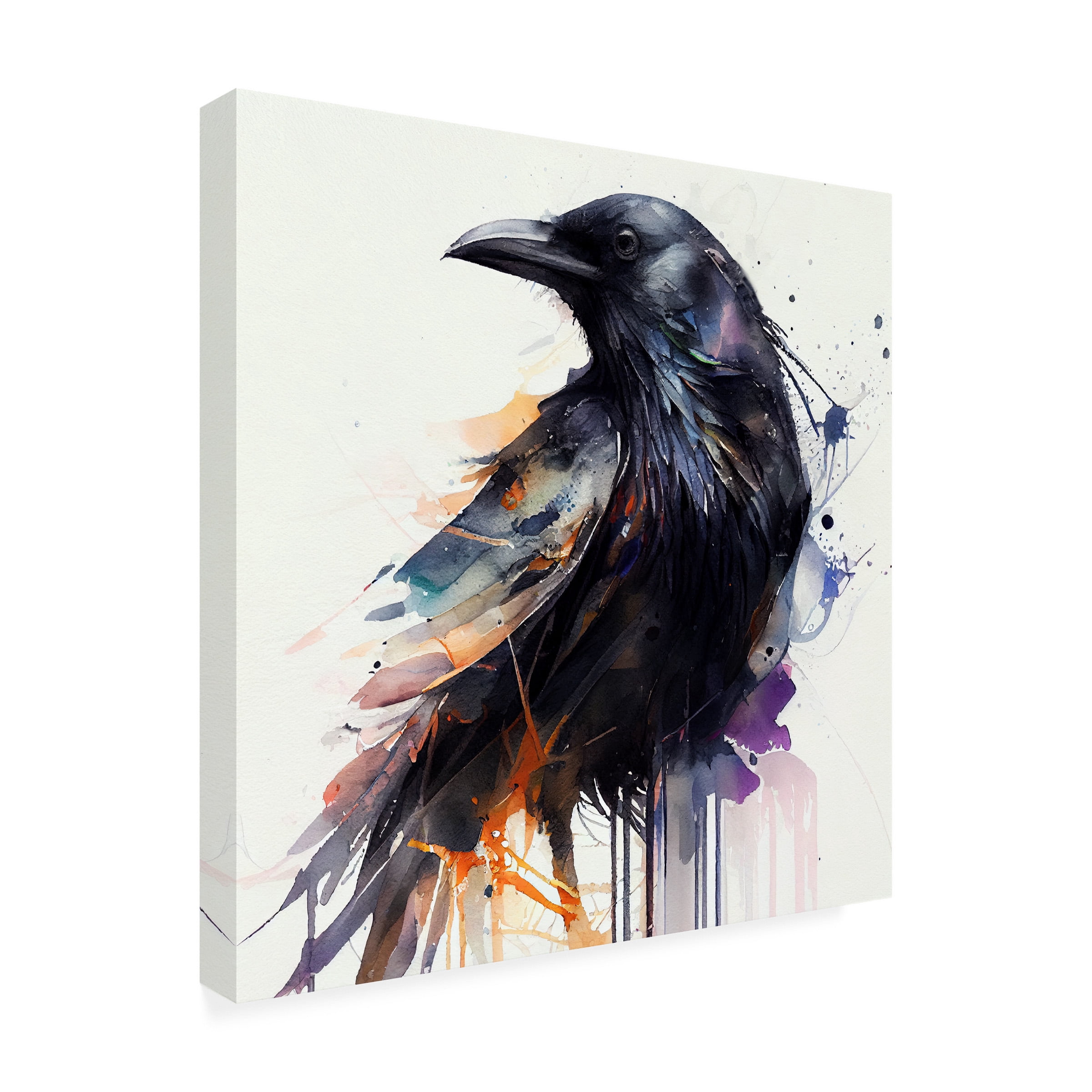 Canvas Wall Art - Sasha 'The Crow' Wall Art for Living Room, Bedroom, or Office Décor by Trademark Fine Art - 24 x 24 Inches