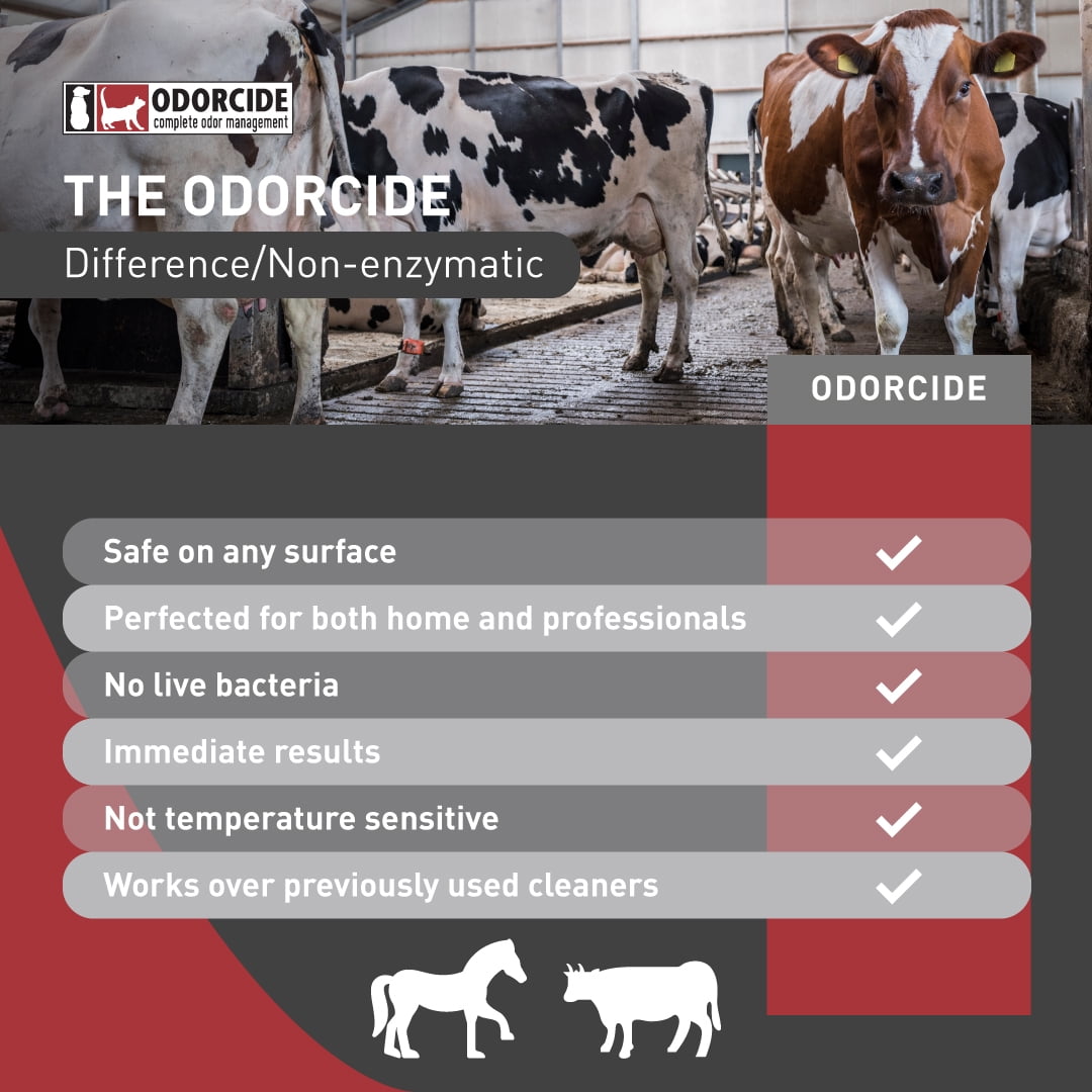 Odorcide Barn & Stable Odor Eliminator for Strong Odor – Cattle & Horse Supplies to Remove Odors – Animal-Safe All Surfaces Deodorizer – Odor Neutralizer Horse Barn Supplies (BS-KIT)