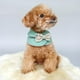 thumbnail image 4 of 1 Uds. De capa para perros y gatos, chal cálido para otoño e invierno, ropa decorativa para fiestas y festivales Verde-M jinwen Ropa suave cálida de invierno, 4 of 8