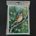 thumbnail image 3 of Carolines Treasures DAC7486GCA7P 5 x 7 in. Vermont Hermit Thrush Greeting Cards - Pack of 8, 3 of 3
