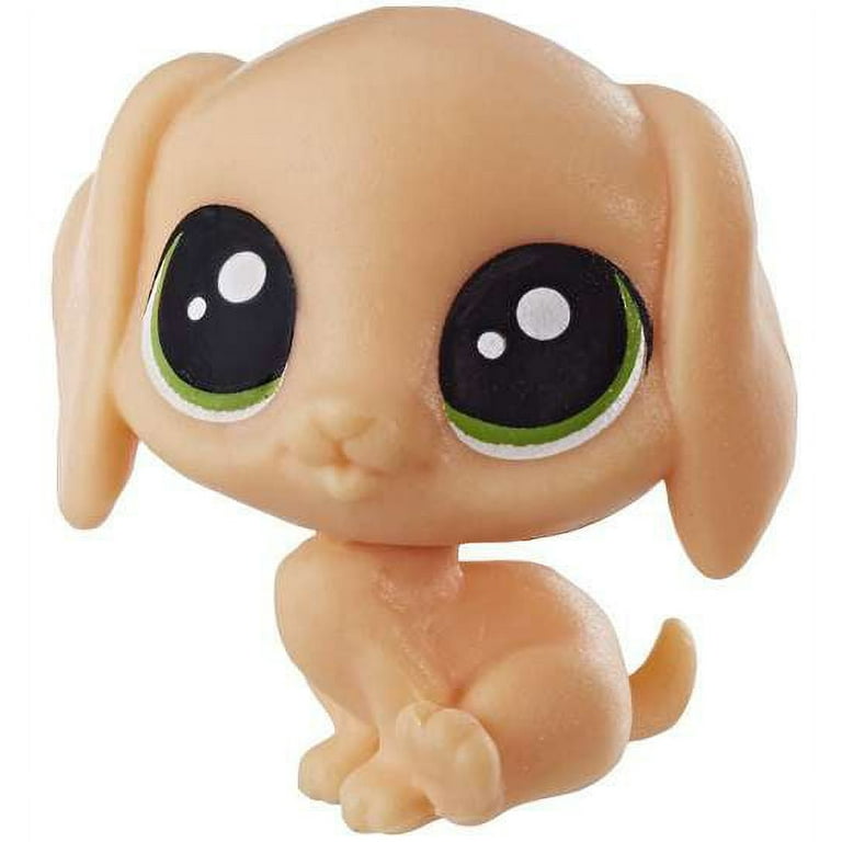 Beagle pet best sale shop