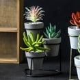 thumbnail image 3 of Saient Black and gold matte ceramic succulent flower pots for plants, medium-sized flower pots with drainage holes and stoppers, for cactus indoor plants, modern and simple decoration, 3 of 5