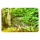 thumbnail image 1 of Alfombra antideslizante para puerta, alfombra con absorción de agua, alfombrilla para baño, decoración para baño y dormitorio #1, 1 of 5