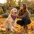 thumbnail image 2 of Halloween Dog Kitty Bandana for Small Medium Large Pets with Soft Flexible Slobber Scarf, Adjustable Neck Kerchief for Party Outfit by MPOISVA, 2 of 5