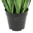 thumbnail image 4 of Vickerman 48" PVC Artificial Potted Green Sheep's Grass and Plastic Grass., 4 of 5
