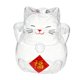 thumbnail image 3 of Hucha de vidrio de borosilicato con diseño de gato en 3D, multiusos, ligera, ideal para regalos festivos, resistente a altas temperaturas, contenedor Estilo B, 3 of 8