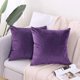 thumbnail image 1 of Chenchen 2 Pack Soft Velvet Couch Throw Pillow Covers 20x20 Inch for Sofa Living Room Bedroom (Purple), 1 of 1