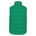 thumbnail image 3 of Mountain Warehouse - Chaleco Rocko Lisos para Niños/Niñas (Verde), 3 of 4
