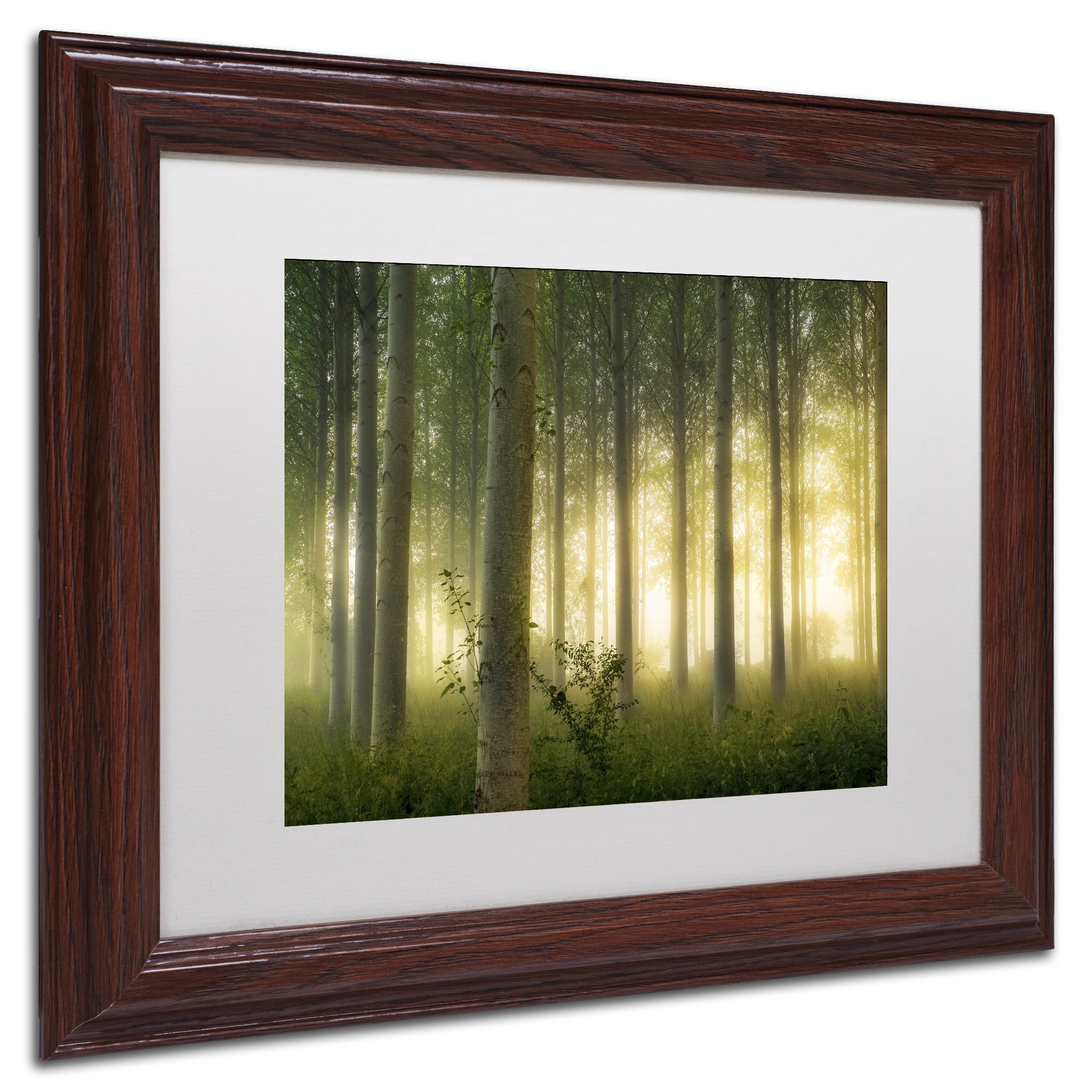 Trademark Fine Art "Enchanted World" Canvas Art by Mathieu Rivrin, White Matte, Wood Frame