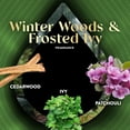 thumbnail image 4 of Air Wick Vibrant Plug In Scented Oil Refill, Infused with Essential Oils, Plug In Air Fresheners for Home, Winter Woods & Frosted Ivy, 5 ct, 4 of 4