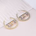 thumbnail image 2 of Pendientes de hermandad, 1922, griego, joyería de hermandad, pendientes de anzuelo de hermandad, regalo, 2 of 3