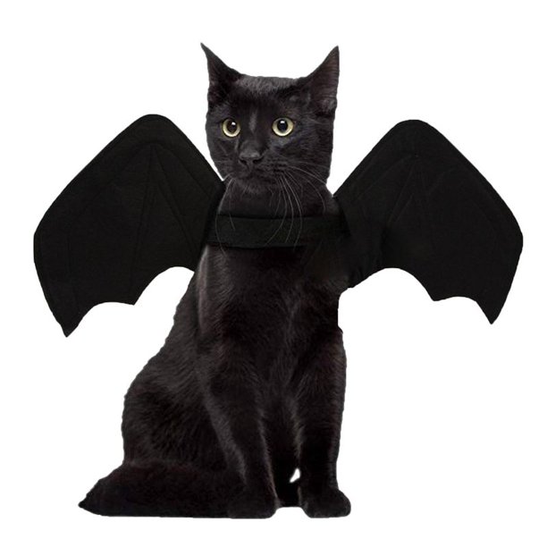 Sjenert Cat Halloween Costume Black Bat Wings Cosplay Pet Costumes Puppy Cat Dress Up Accessories With Pumpkin Bell No Bell M Walmart Com