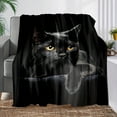 thumbnail image 4 of Super Soft Black Cat Print Flannel Blanket-Comfortable Multi-Purpose Blanket for All Seasons Warmth-Perfect Nap Blanket and Luxury Gift for Sofa Sofa Bed Camping and Travel, 4 of 7