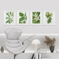 thumbnail image 5 of PixonSign Plant Growth Posters, Framed Green Forest Flower Wall Art, Set of 4 Collage Floral Wall Prints, Nature Wilderness Wall Décor, Botanical Artwork for Bedroom, Office - 12"x16" White, 5 of 5