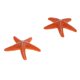 thumbnail image 4 of 2 Piezas De Plantas De Acuario De Acuario Artificial Plantas De Acuático Ornamento De Fondo Tipo 5 - Naranja Zulema Decoración del tanque de peces de acuario, 4 of 7