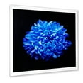 thumbnail image 2 of Designart 'Dew Drops on Blue Aster ' Traditional Framed Art Print, 2 of 4