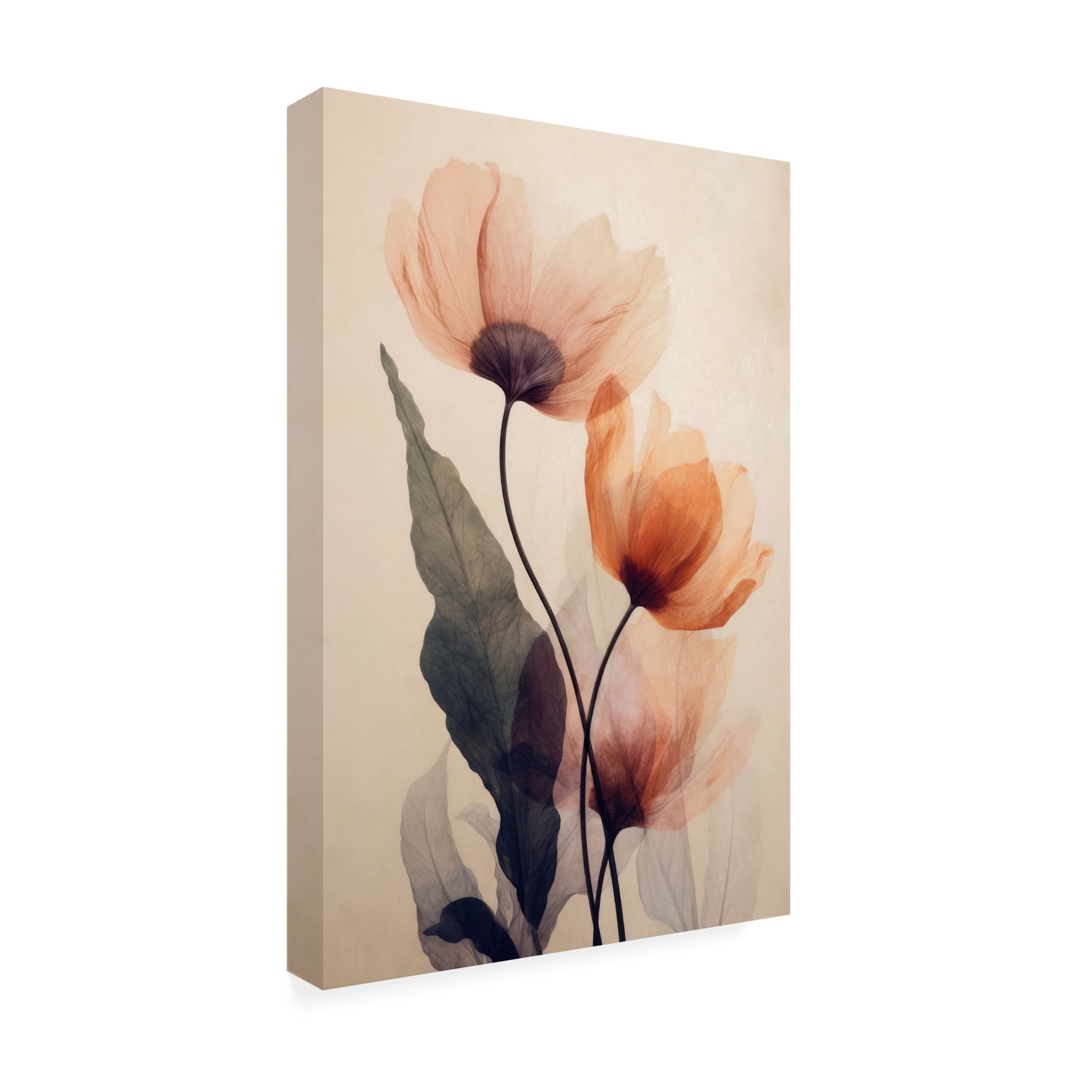 Canvas Wall Art - Treechild  'Parchmentflowersno5' Wall Art for Living Room, Bedroom, or Office Décor by Trademark Fine Art - 12 x 19 Inches