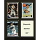 C&I Objets de Collection 810STANTON MLB 6 x 8 Po Giancarlo Stanton New York Yankees Plaque de Deux Cartes – image 1 sur 1