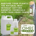 thumbnail image 5 of BotanoHealth Bio-Pesticides & Organic Fungicide Spray for Plants | Control & Prevent Fungus & Insects | Fungicide & Insecticide Concentrate for Indoor or Outdoor Plants (33.8oz), 5 of 6