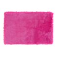 thumbnail image 1 of Home Décor Inc. Mainstays Kids Faux Fur Rug – Soft, Vibrant Accent Rug for Bedrooms & Playrooms, 30" x 45", 1 of 3
