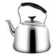 thumbnail image 1 of Whistling Wderan, Gran Tetera de Acero inoxidable de acero inoxidable para el HOGAR PARA EL HOGAR, 1 of 8