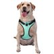thumbnail image 1 of Fotbe Cyan Mint Marble Arnés para Perro con Estampado –Chaleco Ajustable Acolchado con Asa de Control para Perros Grandes-Medium, 1 of 6