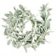 thumbnail image 1 of Guirnalda de Orejas Cordero Flocado Artificial - 2 Metros VegetacióN y Hojas Vid ImitacióN Suave para la DecoracióN Repisa Casa Campo, 1 of 5