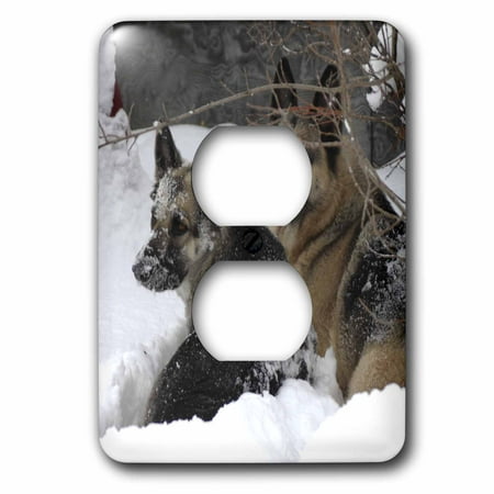 3dRose German Shepherds Best Friends - 2 Plug Outlet Cover (Lena The Plug Best Friend)